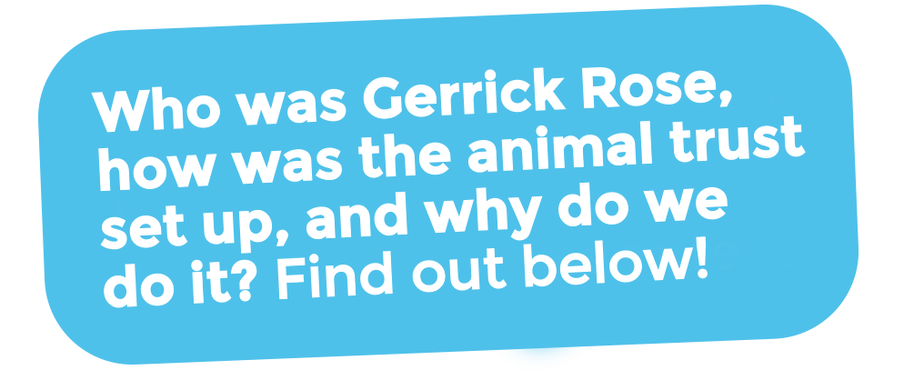 about-copy about-copy