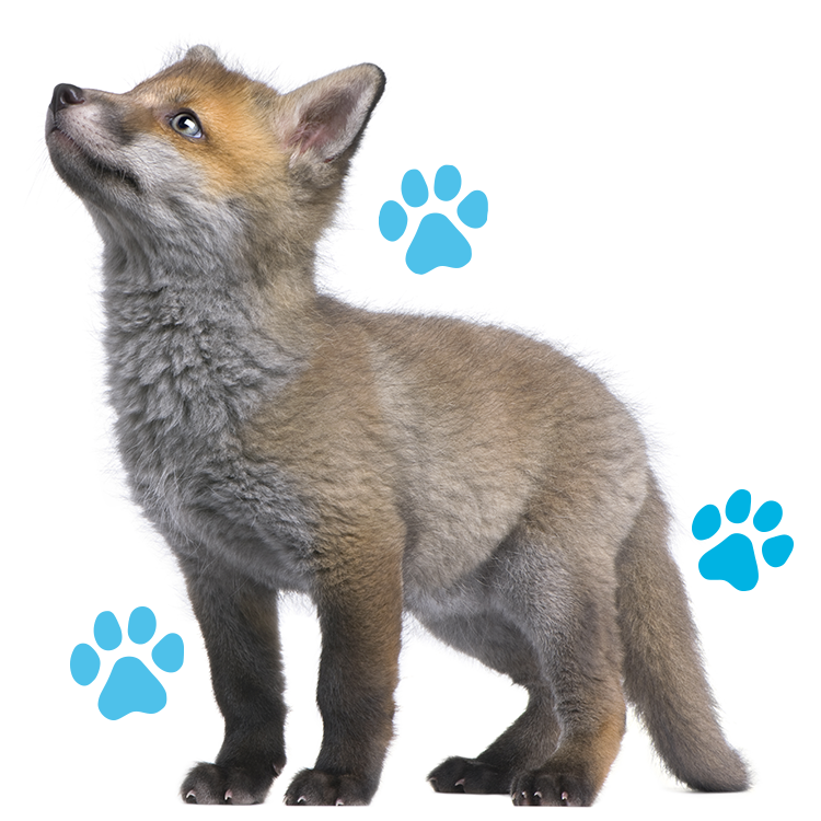 gerrick-rose-about4 gerrick-rose-about4