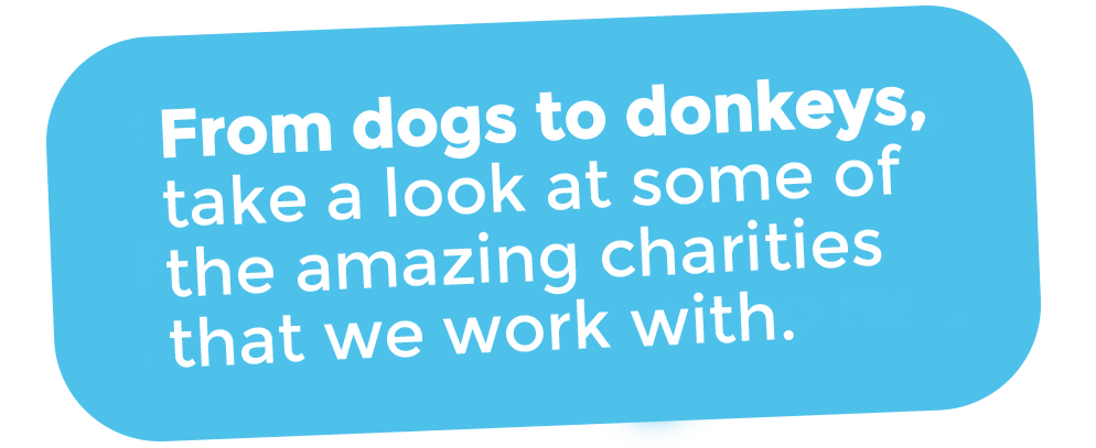 our-partners-copy our-partners-copy