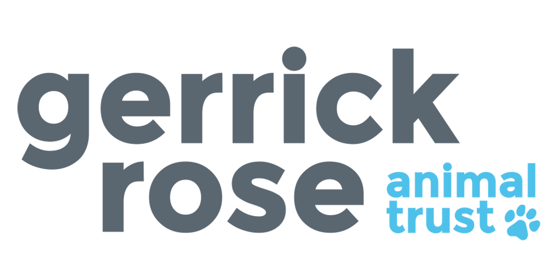 A helping hand for animal charities